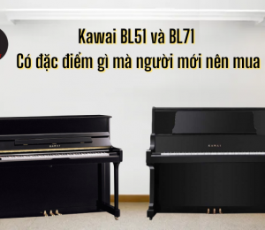 Kawai BL51 và BL71 có đặc điểm gì mà người mới nên mua
